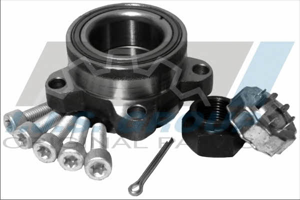 IJS Group 10-1145 Wheel hub with front bearing 101145