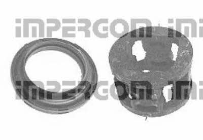 Impergom 36869 Strut bearing with bearing kit 36869