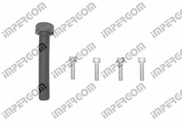 41007 Impergom Bolt