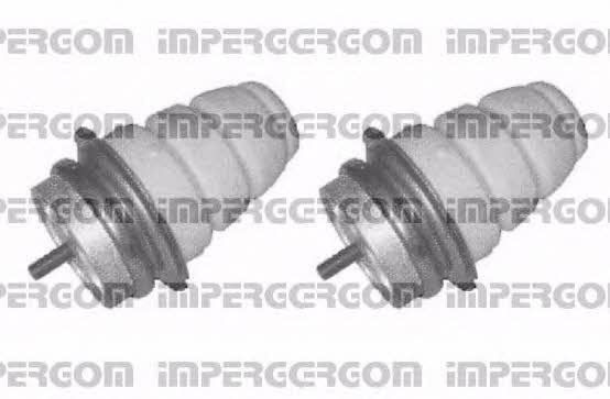 Impergom 50679 Dustproof kit for 2 shock absorbers 50679