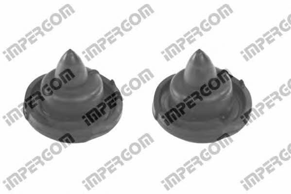 Impergom 50479 Dustproof kit for 2 shock absorbers 50479