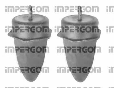 Impergom 50481 Dustproof kit for 2 shock absorbers 50481