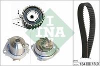 INA 530 0221 30 TIMING BELT KIT WITH WATER PUMP 530022130