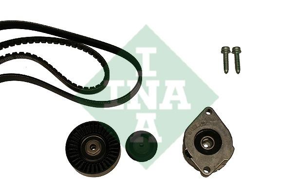 INA 530 0398 10 Drive belt kit 530039810