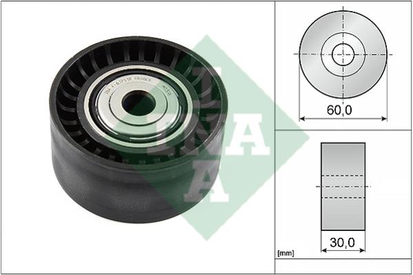 INA 532 0534 10 Idler Pulley 532053410