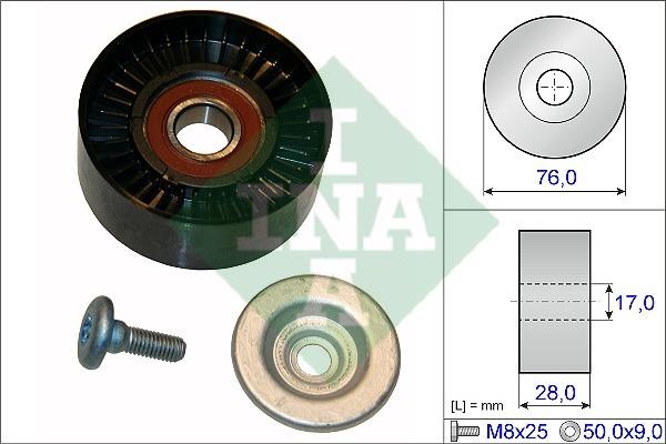INA 532 0648 10 Idler Pulley 532064810