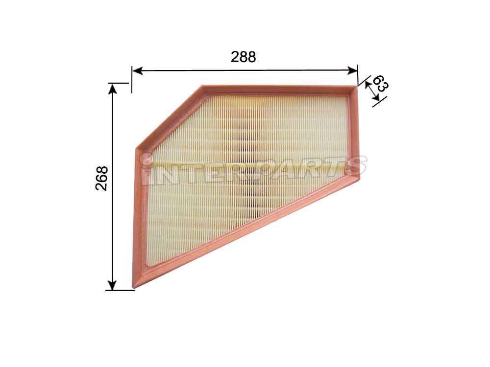 Interparts filter IPA-C008 Air filter IPAC008