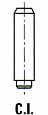 Ipsa VG013900 Valve guide VG013900