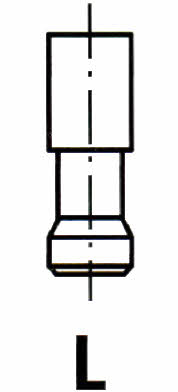 Ipsa VG032500 Valve guide VG032500