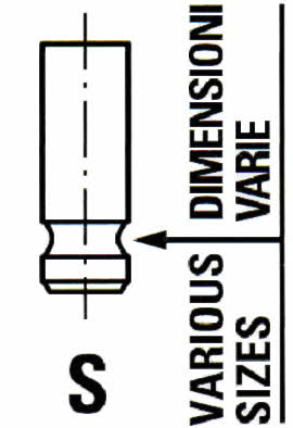 Ipsa VL108400 Intake valve VL108400