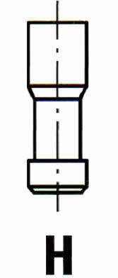 Ipsa VL002200 Exhaust valve VL002200