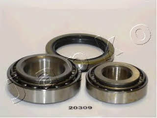 Japko 420309 Wheel bearing kit 420309