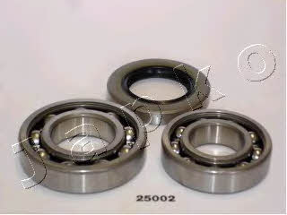 Japko 425002 Wheel bearing kit 425002