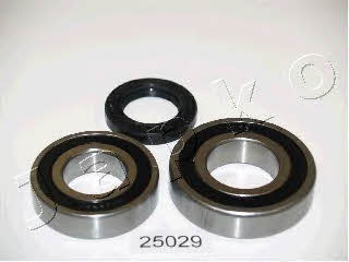 Japko 425029 Wheel bearing kit 425029