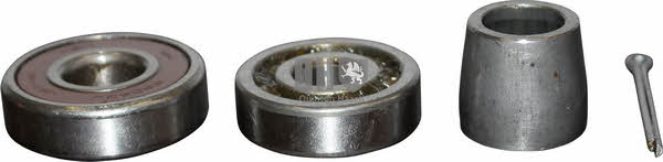 Jp Group 5251300119 Wheel bearing kit 5251300119