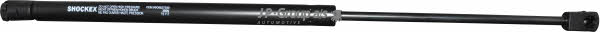 Tailgate strut Jp Group 1181207300