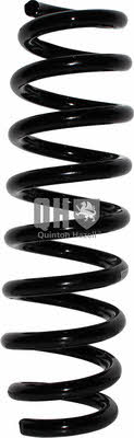 Jp Group 1452202909 Coil Spring 1452202909