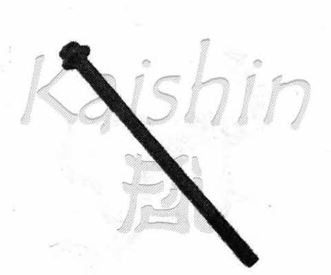 Kaishin 94580081 Gasket Set, crank case 94580081