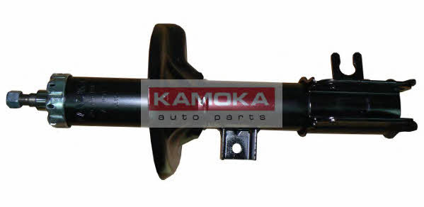 Kamoka 20634193 Oil, suspension, front right 20634193