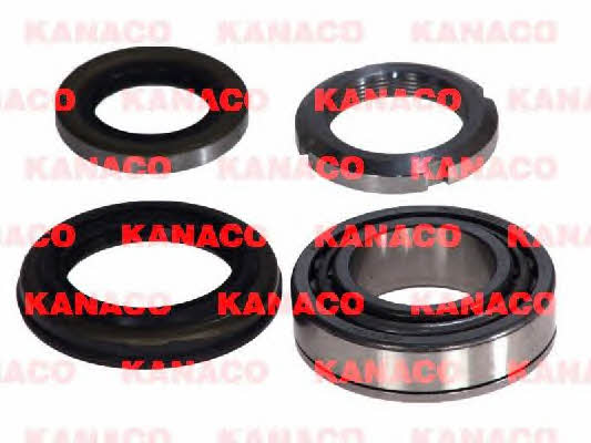 Kanaco H20311 Wheel bearing kit H20311