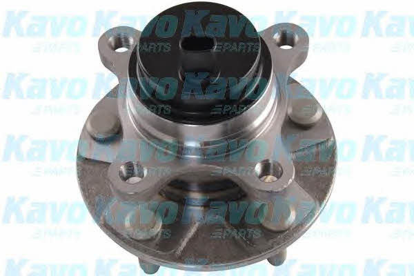 Buy Kavo parts WBH-9051 at a low price in United Arab Emirates!
