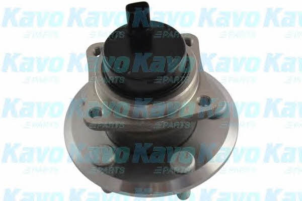 Buy Kavo parts WBH-9060 at a low price in United Arab Emirates!