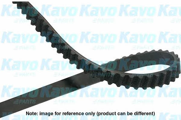 Buy Kavo parts DTB-8522 at a low price in United Arab Emirates!