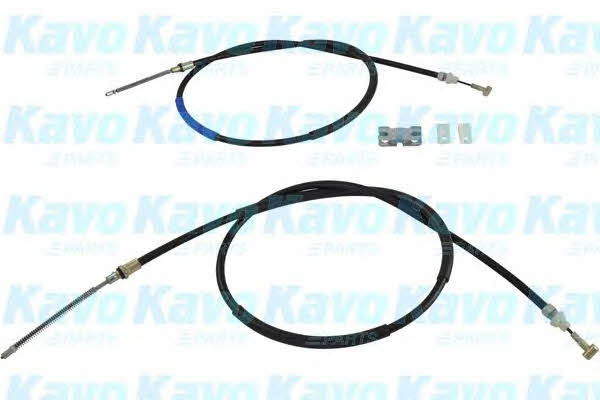 Buy Kavo parts BHC-4503 at a low price in United Arab Emirates!