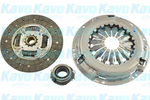Buy Kavo parts CP-1205 at a low price in United Arab Emirates!