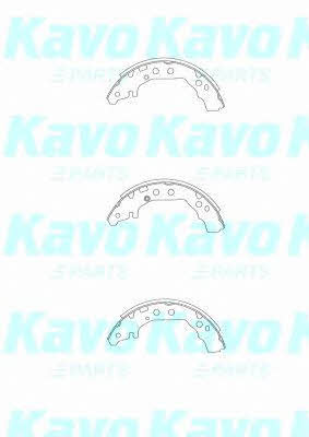 Buy Kavo parts BS-9950 at a low price in United Arab Emirates!