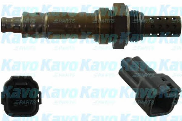 Buy Kavo parts EOS-8506 at a low price in United Arab Emirates!