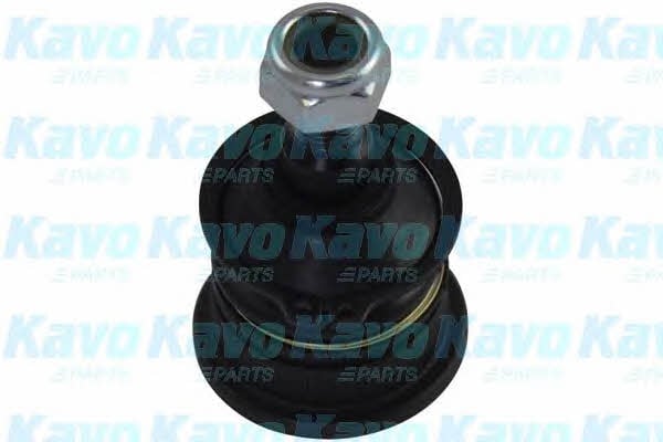 Buy Kavo parts SBJ-3036 at a low price in United Arab Emirates!