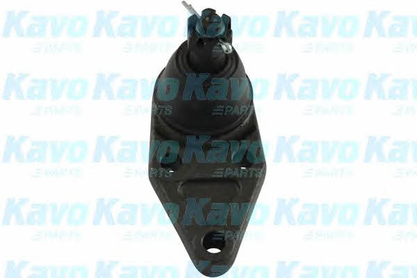 Buy Kavo parts SBJ-5528 at a low price in United Arab Emirates!