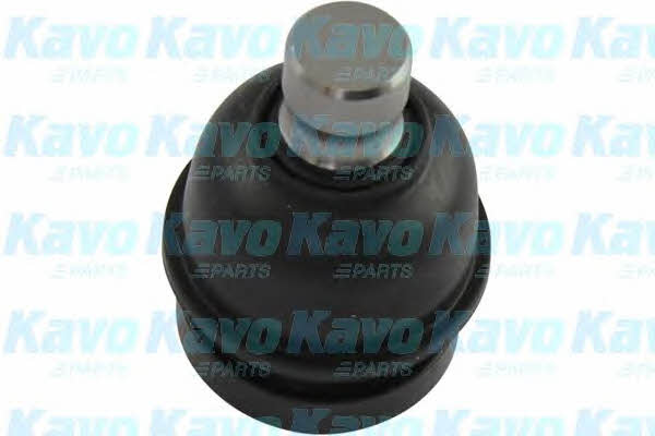 Buy Kavo parts SBJ-5530 at a low price in United Arab Emirates!
