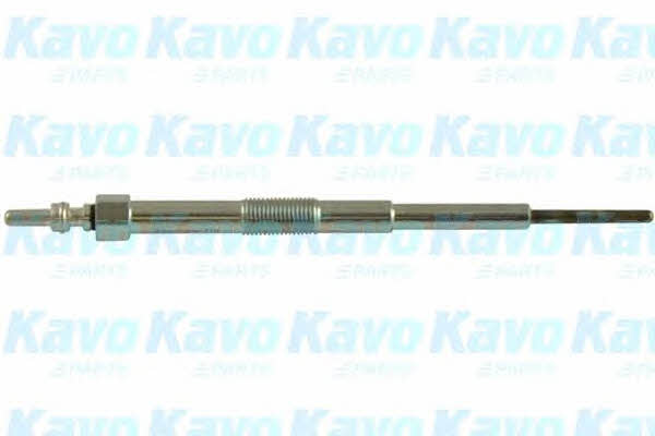 Buy Kavo parts IGP-8001 at a low price in United Arab Emirates!