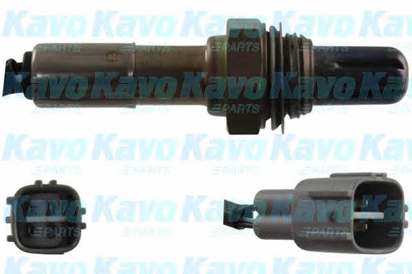 Buy Kavo parts EOS-1032 at a low price in United Arab Emirates!