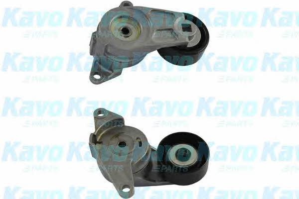 Buy Kavo parts DTP-1010 at a low price in United Arab Emirates!