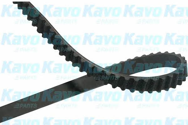 Buy Kavo parts DTB-4543 at a low price in United Arab Emirates!