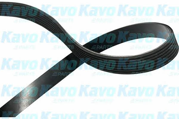 Buy Kavo parts DMV-6554 at a low price in United Arab Emirates!