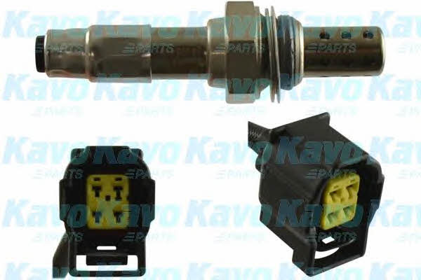 Buy Kavo parts EOS-5560 at a low price in United Arab Emirates!