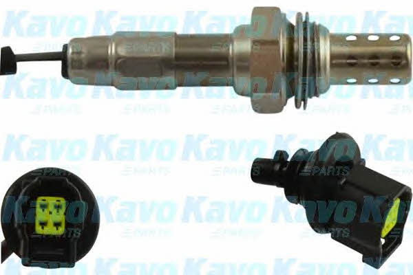 Buy Kavo parts EOS-6534 at a low price in United Arab Emirates!