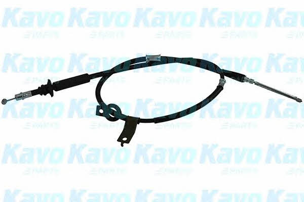 Buy Kavo parts BHC-3064 at a low price in United Arab Emirates!