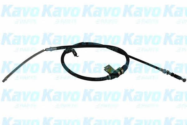 Buy Kavo parts BHC-3105 at a low price in United Arab Emirates!
