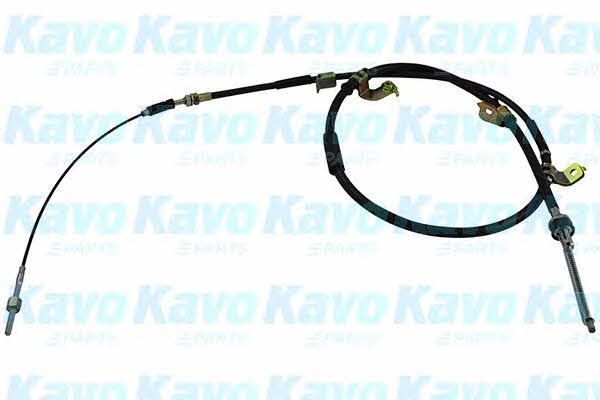 Buy Kavo parts BHC-3114 at a low price in United Arab Emirates!