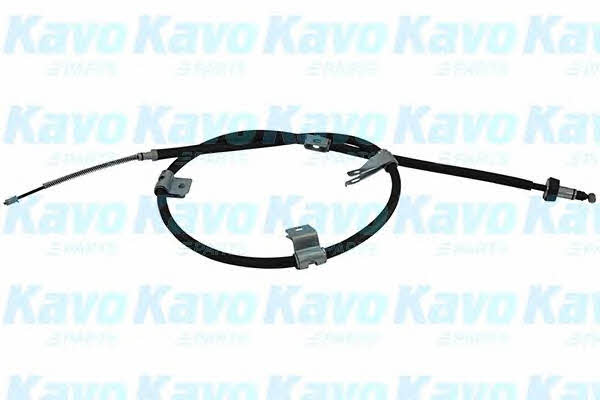 Buy Kavo parts BHC-3128 at a low price in United Arab Emirates!
