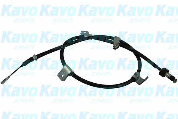 Buy Kavo parts BHC-3134 at a low price in United Arab Emirates!