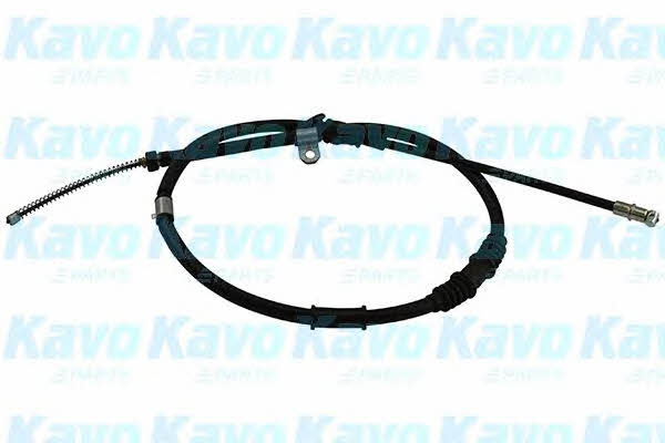 Buy Kavo parts BHC-5519 at a low price in United Arab Emirates!