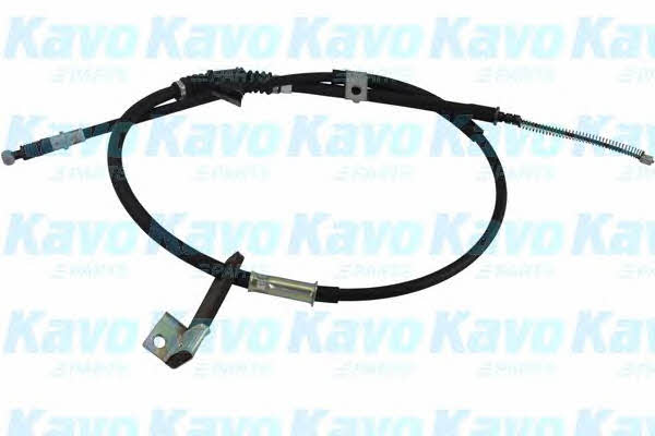 Buy Kavo parts BHC-5600 at a low price in United Arab Emirates!