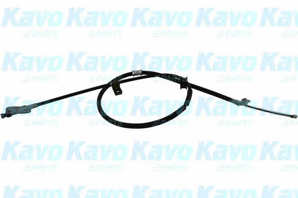 Buy Kavo parts BHC-1550 at a low price in United Arab Emirates!