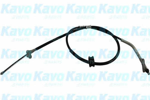 Buy Kavo parts BHC-1551 at a low price in United Arab Emirates!